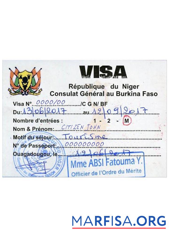 Realistic Niger travel visa template